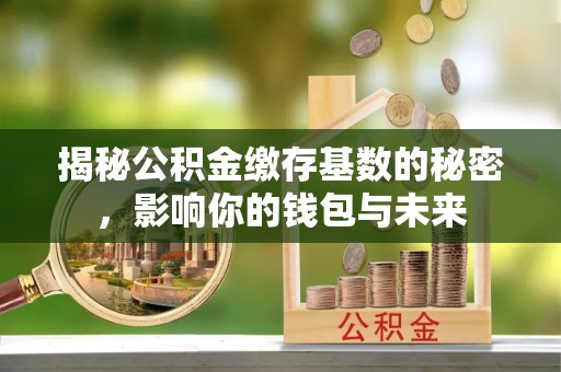 花溪揭秘公积金缴存基数的秘密，影响你的钱包与未来