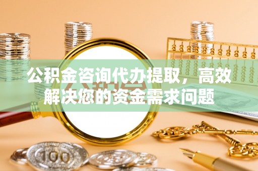 武侯公积金咨询代办提取，高效解决您的资金需求问题