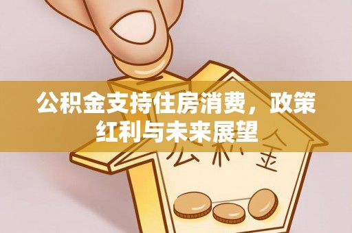 来安公积金支持住房消费，政策红利与未来展望