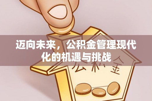 惠农迈向未来，公积金管理现代化的机遇与挑战
