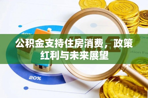 康马公积金支持住房消费，政策红利与未来展望