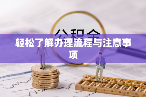 北海新区轻松了解办理流程与注意事项