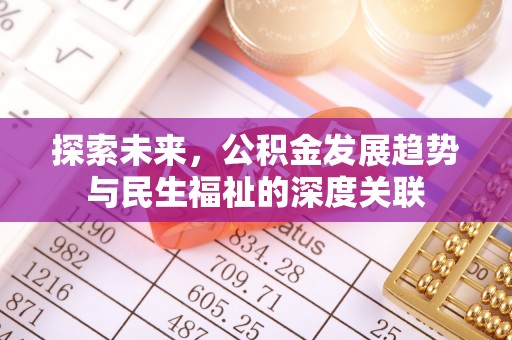 武安探索未来，公积金发展趋势与民生福祉的深度关联