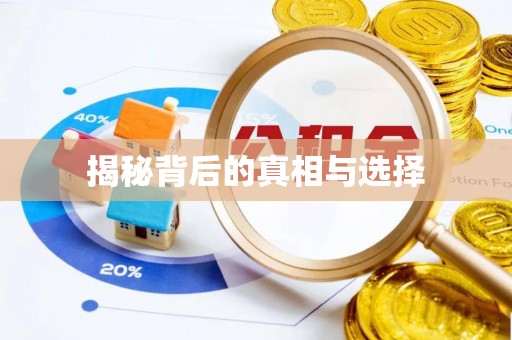 北海新区揭秘背后的真相与选择