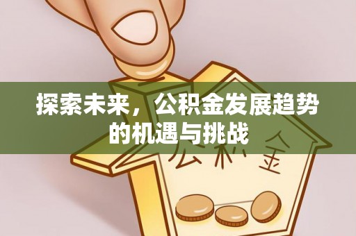 兰屿探索未来，公积金发展趋势的机遇与挑战