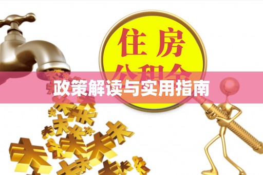 兰屿政策解读与实用指南
