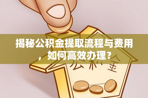 细河揭秘公积金提取流程与费用，如何高效办理？