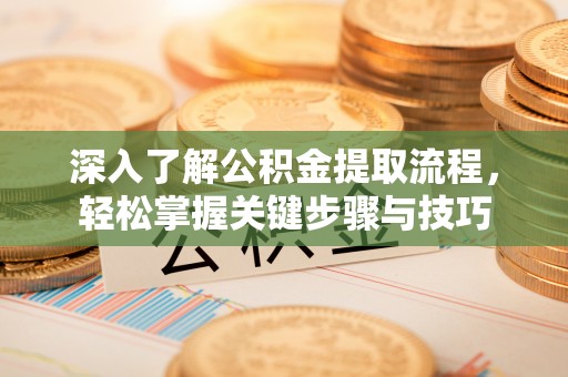 佳里深入了解公积金提取流程，轻松掌握关键步骤与技巧