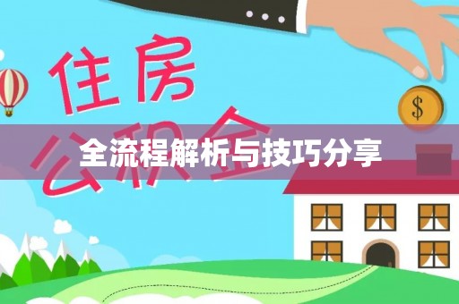 忻城全流程解析与技巧分享