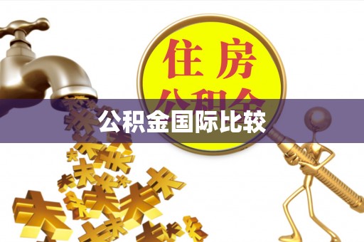 麟洛公积金国际比较