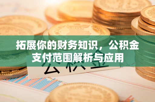 麟洛拓展你的财务知识，公积金支付范围解析与应用