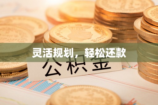 施甸灵活规划，轻松还款