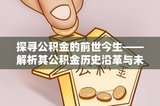 召陵探寻公积金的前世今生——解析其公积金历史沿革与未来方向