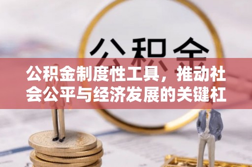 龟山公积金制度性工具，推动社会公平与经济发展的关键杠杆