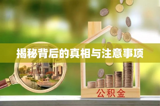 龟山揭秘背后的真相与注意事项