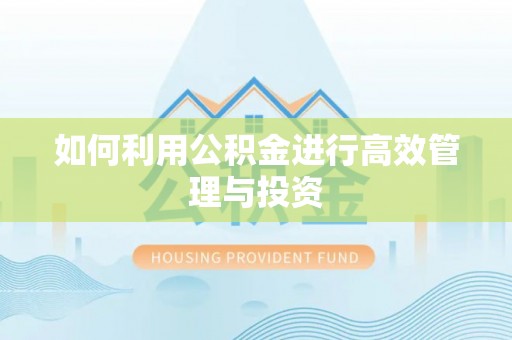 云城如何利用公积金进行高效管理与投资