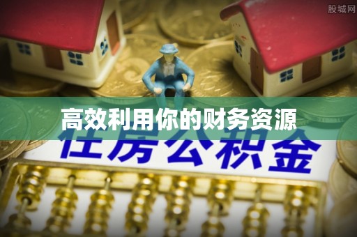 阿勒泰高效利用你的财务资源
