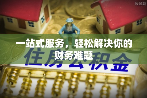 东乡族一站式服务，轻松解决你的财务难题