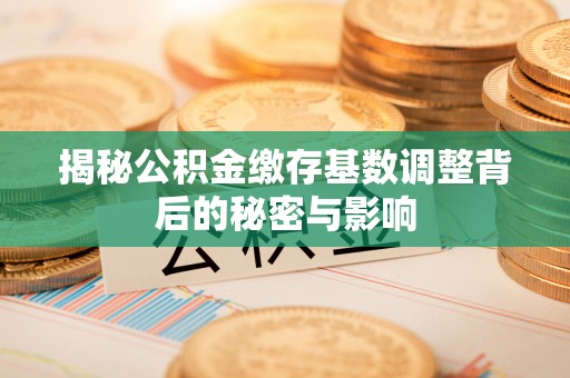 阿勒泰揭秘公积金缴存基数调整背后的秘密与影响