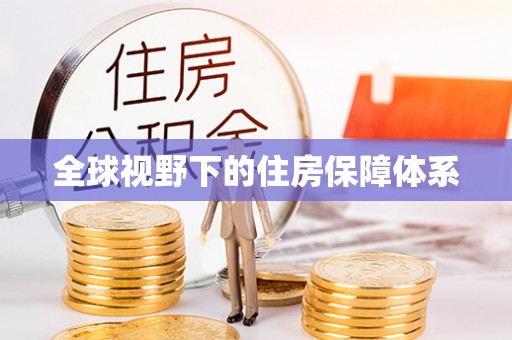 泽普全球视野下的住房保障体系