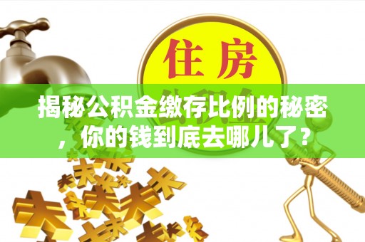 定西揭秘公积金缴存比例的秘密，你的钱到底去哪儿了？