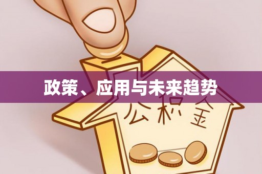 青龙政策、应用与未来趋势