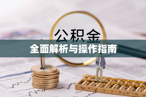 小榄全面解析与操作指南