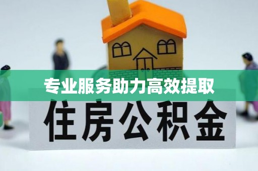 顺平专业服务助力高效提取