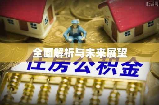 小榄全面解析与未来展望