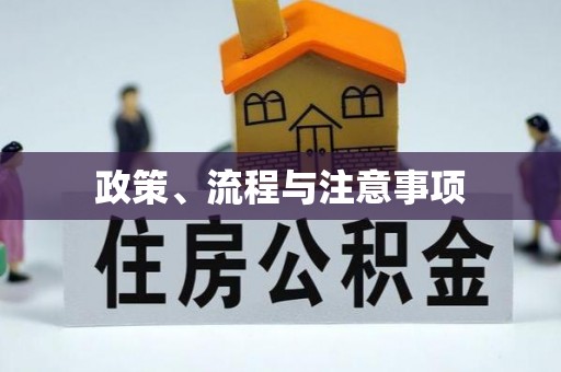 郁南政策、流程与注意事项