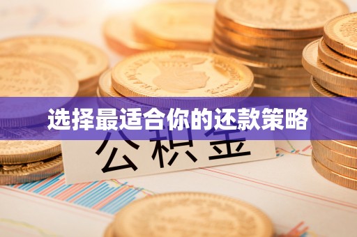 古交选择最适合你的还款策略
