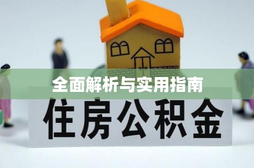 大安全面解析与实用指南