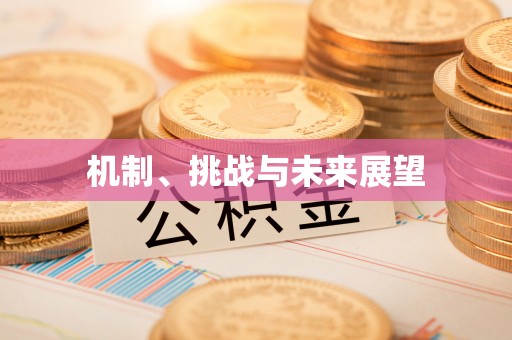 大安机制、挑战与未来展望